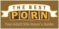 The Best Porn: Your Adult Site Buyer's Guide